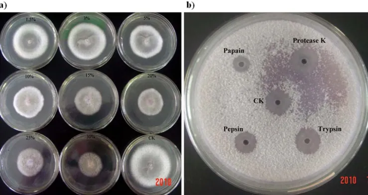 Figure 3. Effect of enzymes and temperature on the inhibitory activity of cell-free supernatant of strain EU07 against FORL