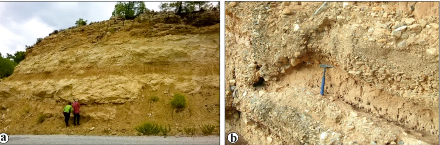Figure 7. Field photographs of the different lithologies of the Yatağan Formation (0641170 E, 4143241 N)