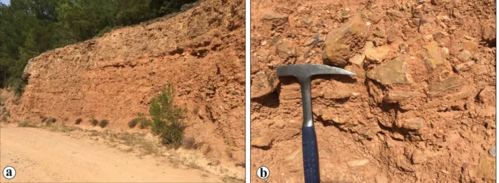 Figure 9. Field views of the Sungur Formation. a) The formation has an orange color and horizontal beds
