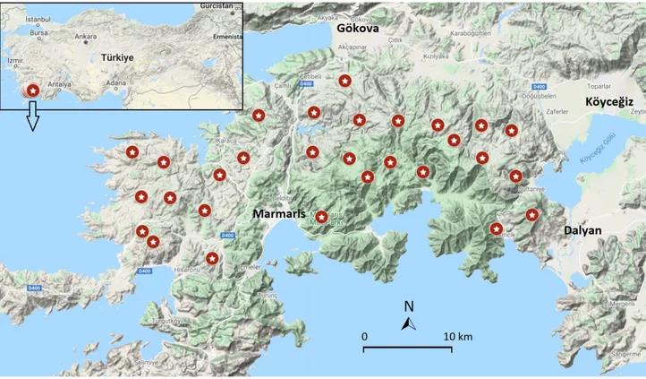 Figure 2. Camera trap locations in Muğla province.