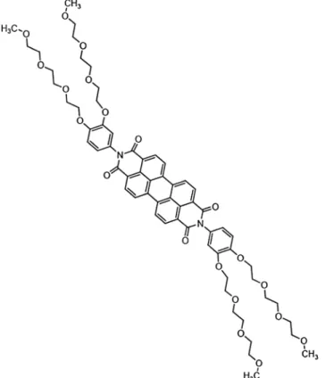 Fig. 2 SEM images of EC and PMMA based electrospun membranes under various magnifications