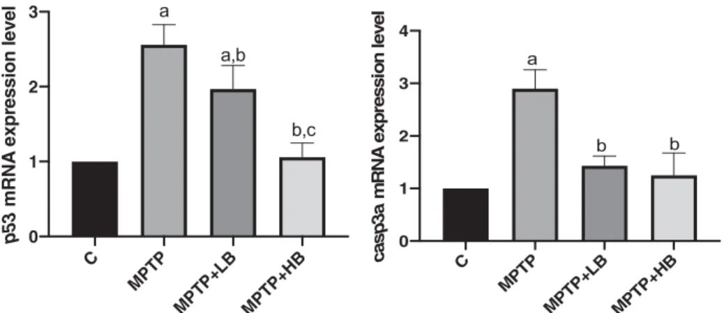 Figure 6. p53 and casp3a expressions of the groups. Data are expressed as mean þ SD from the three independent experiments