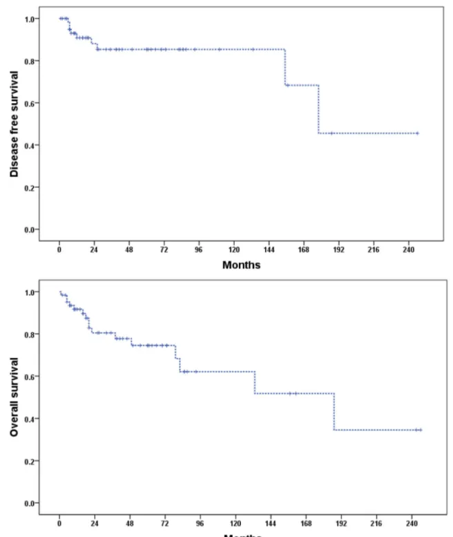 Fig. 1 Disease free survival and overall survival curves of the patients