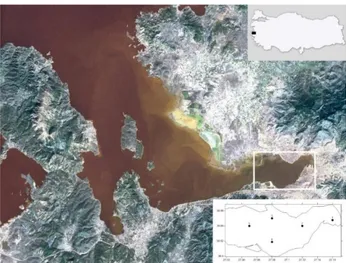 Figure 1. Location of Sampling Stations in the Inner Bay of Izmir.