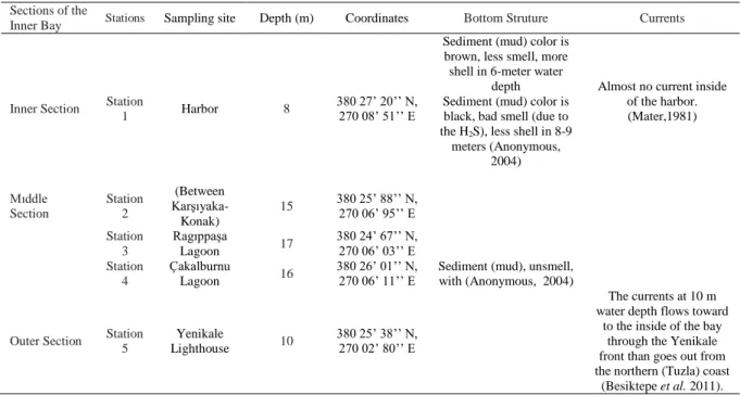 Table 1.  Station names, depths, coordinates of stations, bottom structure and flow characteristics of Inner Bay in 2000-2005  Sections of the 