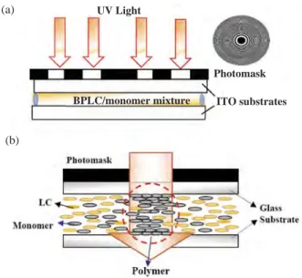 Figure 1. (colour online) Schematic demonstration of (a) the fabrication process of BPLC Fresnel lens by (b) the  photo-polymerisation-induced phase separation of the LC/polymer.