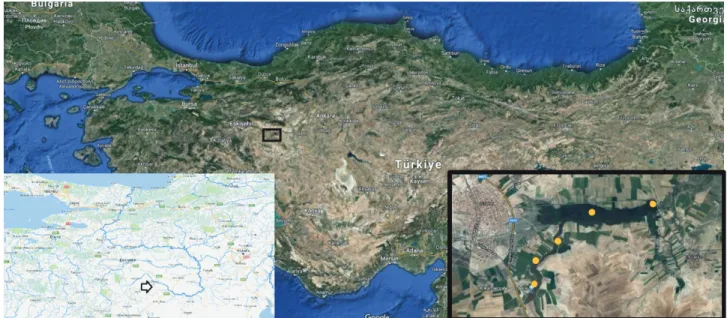Figure 1. Area of collection of the data (black rectangle = Sakarya River Basin; yellow dots = locations of the field stations within the 
