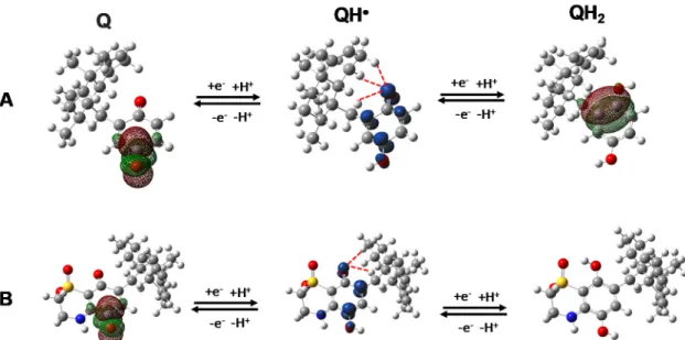Figure 7. (A): DFT global minimum energy conformer (GM) structure of 1 (Q), DFT conformer I of 3  (QH 2 ) and their semiquinone radical (QH • )