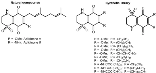 Figure 1. Structures of aplidinones A, B and of thiazinoquinone derivatives. 