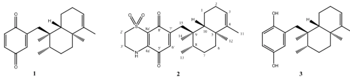 Figure 2. Structure of avarone (1), the semisynthetic thiazoavarone (2) and avarol (3)