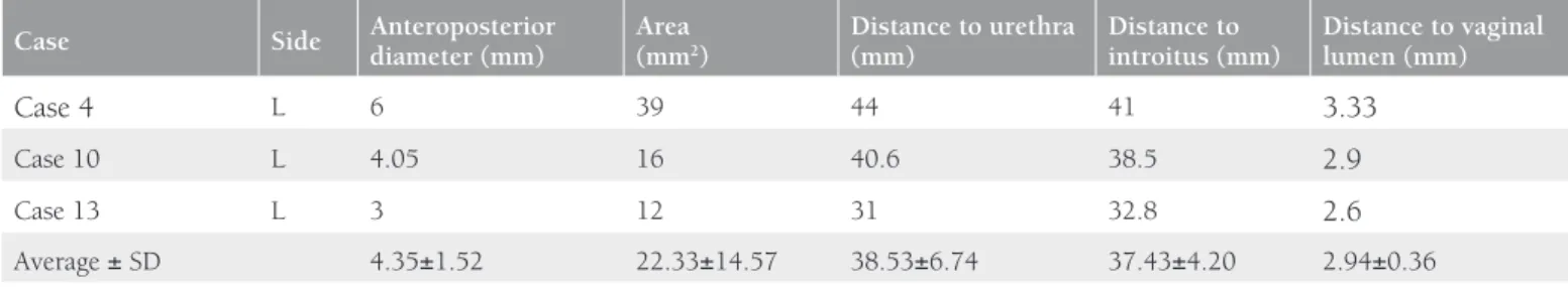 Table 2. Data related to hyperintense focus (putative G-spot)