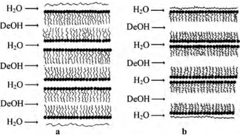 Fig. 5 Schematic sketch of micelles in lamellar mesophase of HDTMABr + DeOH + H 2 O