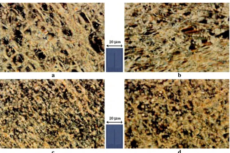 Fig. 8 Magnetically induced textures of sample S5. a 1.5 h in magnetic field. b 4.5 h in magnetic field