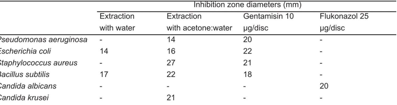 Figure 2. The formation of inhibition zones after injection of plant extract into the agar holes.