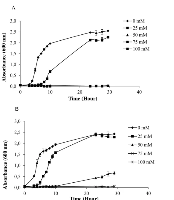 Figure 1.  Growth curve of Bt-KE63-64 isolate (A) and Bt kurstaki (B) grown in different boric acid 