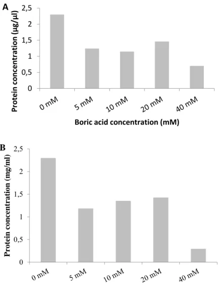 Figure 2.  Determination of Cry protein level of Bt-KE63-64 isolate (A) and Bt kurstaki (B) grown in 