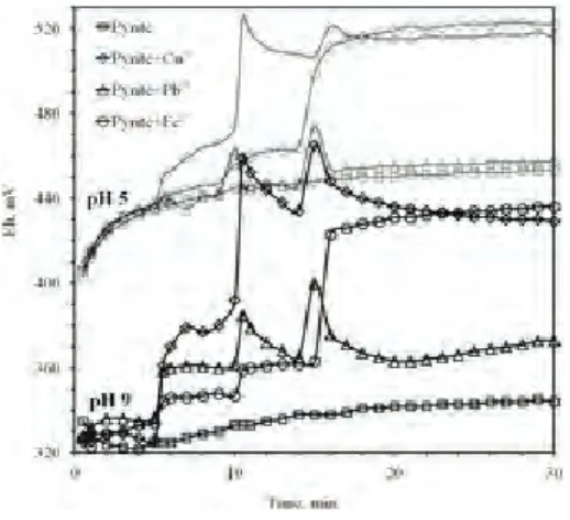 Fig. 2 Effect of metal ions on the potential response of pyrite electrodeFig. 1 Wpływ polaryzacji pirytu na zmierzone wartości pH i Eh