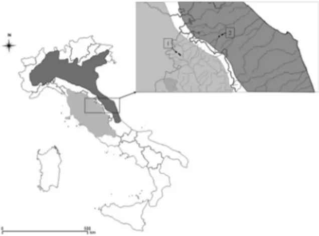 Fig. 1 Original distribution of P. bonelli (dark grey) and P. nigricans (light grey) in Italy and location of the study areas in the River Aggia (1), where native P