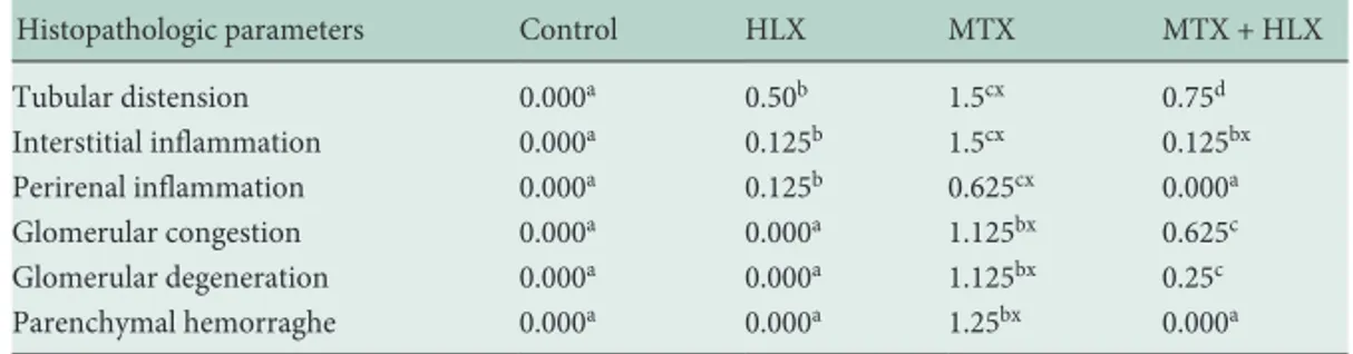 Table 2.  Histopathological findings in the kid- kid-neys of the 4 groups of rats (n = 8 each)