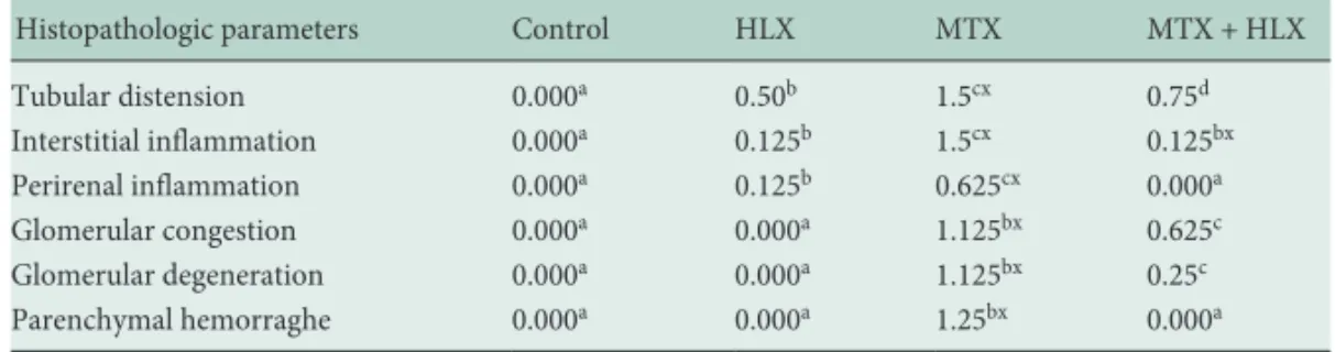 Table 2.  Histopathological findings in the kid- kid-neys of the 4 groups of rats (n = 8 each)