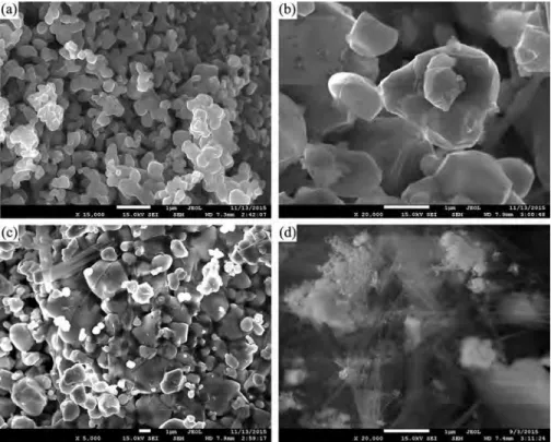 Fig. 2.  SEM images of TiO 2  (a), ZnO (b), Ti/Zn (c), and Ti/Zn/Sep (d).  