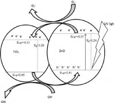 Fig.  11.  Effects  of  different  scavengers  on  degradation  of  FLQ  in  the presence of TiO 2 /ZnO/Sep composite photocatalyst