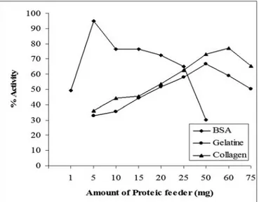 Figure 2. Effect of proteic feeder on enzyme activity.
