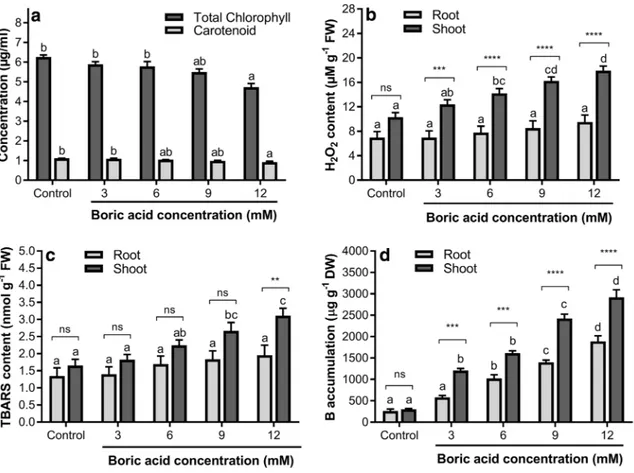 Fig. 1    Effects of different concentrations of BA on a total chlorophyll  and carotenoid contents, b   H 2 O 2  level, c TBARS level, and d 