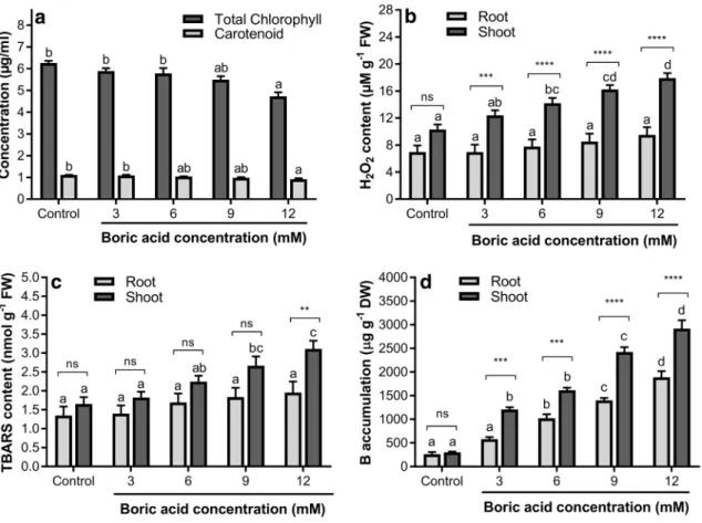 Fig. 1    Effects of different concentrations of BA on a total chlorophyll  and carotenoid contents, b   H 2 O 2  level, c TBARS level, and d 