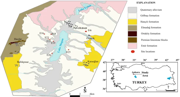 Fig. 1 Geological map of the study area showing the site locations (Akyu¨rek et al. 1997 )
