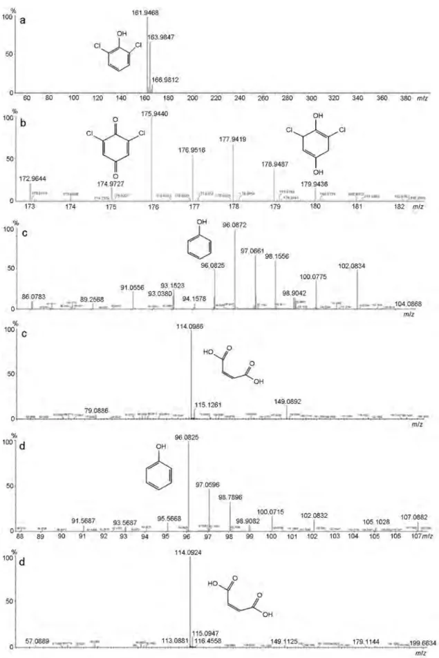 Fig. 6. High-resolution mass spectral data for samples of 2,6-DCP (a), 2,6-DCP in contact with the photocatalyst (b), and photocatalytic reaction products after 60 (c) and 240 min irradiation (d).