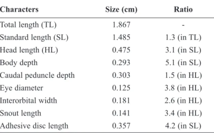 Table  1. Diplecogaster  bimaculata.  Morphometrics  for  key