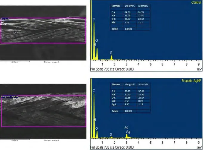 Figure 2. EDS spectrums of control suture and bioAgNP-propolis-coated suture.
