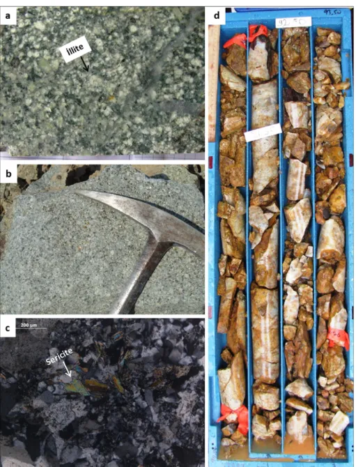 Fig. 10. (a) Pervasive illite alteration of 