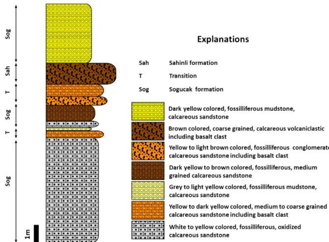 Fig. 5. Measured section showing the transition of the calcareous sandstone and the pyroclastics.