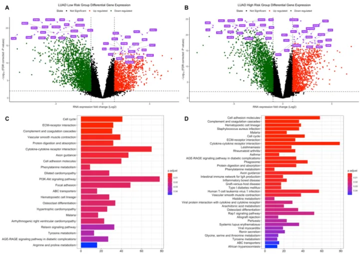 Figure 3. Differential expression analysis of the LUAD risk groups. LUAD test dataset patients 