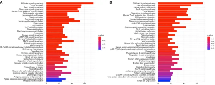 Figure 6. Pathway enrichment of differentially expressed genes at active subnetworks of the LUSC risk groups