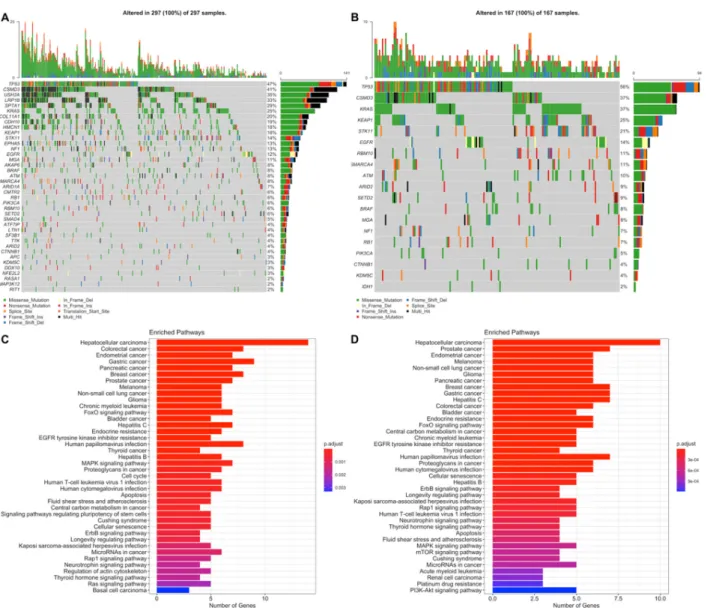 Figure 9. Oncoplot of potential driver genes containing significant SNVs of the LUAD risk groups