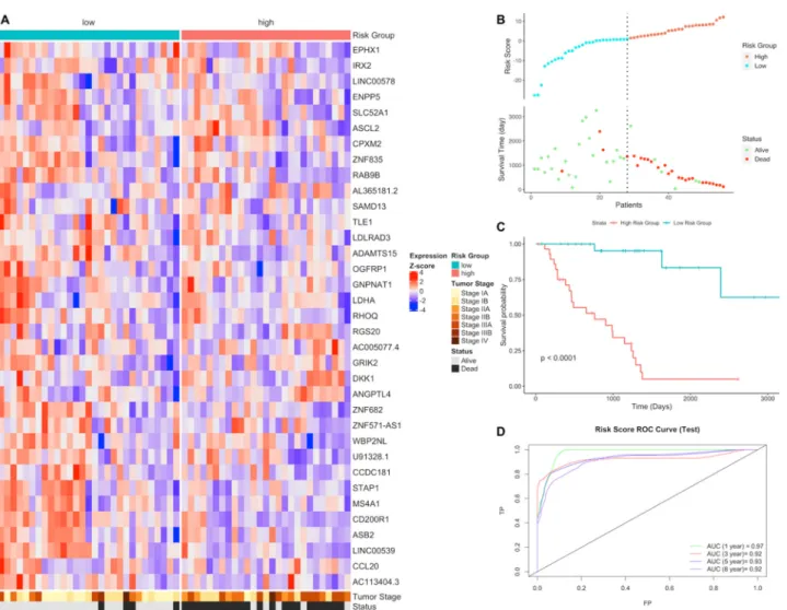 Figure 1. Gene expression signature and risk clustering of LUAD test dataset. Test dataset patients 
