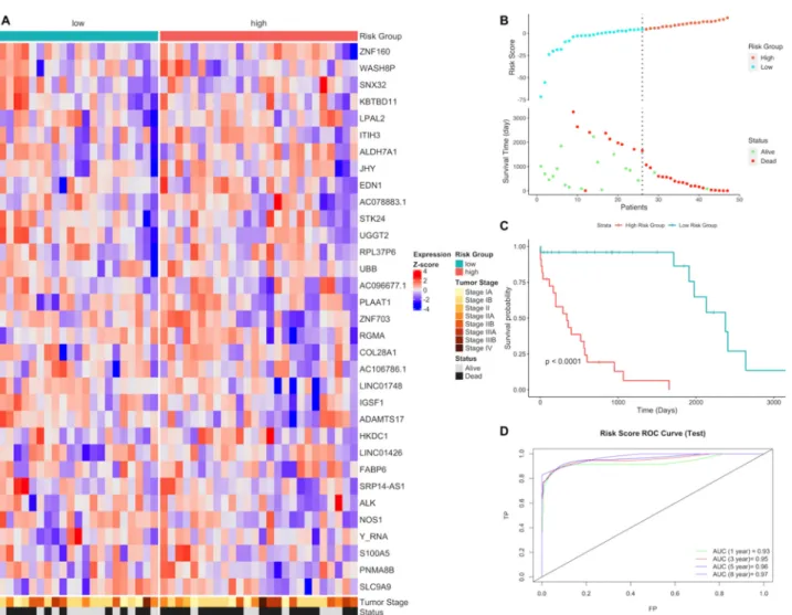 Figure 2. Gene expression signature and risk clustering of LUSC test dataset. Test dataset patients 