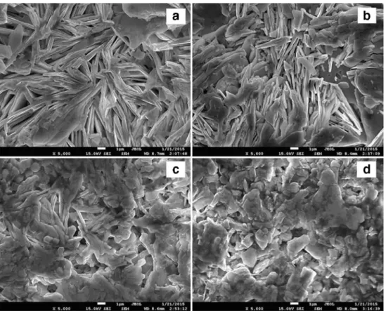 Fig. 2 SEM images taken 5kx magnification for the samples