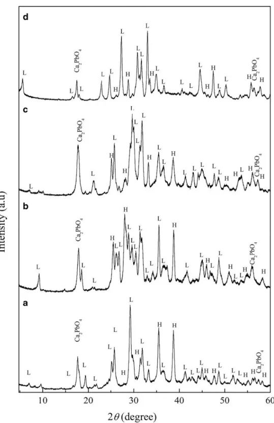 Fig. 3 The XRD patterns of samples A, B, C, and D