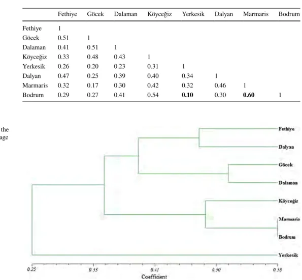 Fig. 2    Dendrogram showing the  genetic relationship among sage  populations Q]j  OH  0