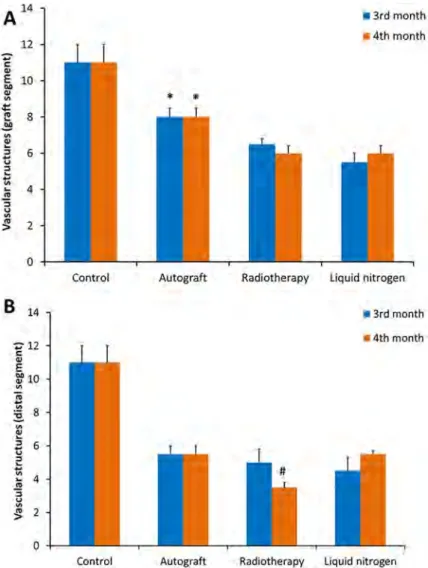 Figure 7. Quantitative evaluation of the vascular structures in the (A) graft segments and (B) distal segments obtained on the 3rd and 4th months
