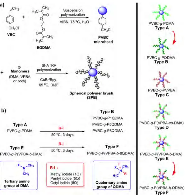 Figure 1. Synthetic pathway of microbeads and SPBs.a) 9CH2 I + ,,.,_ CH2CI VBC 0 + Monomers (OMA, VPBA or both) S1-ATRP  polymerization CuBr/Bpy, 65 °C, DMF  Suspension  polymerization  8 CHiCI PVBC microbead 