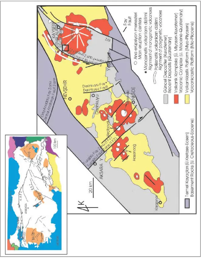 Fig ur e 2 .  Geological map of the  Neogeııe - Quatenıary  Cappadocian  Vo/canic  Province  (KVB)  (simplified  /rom  Toprak, 