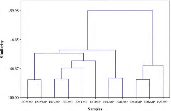Figure 3. Dendrogram results obtained by the Euclidean distance and Ward linkage methods