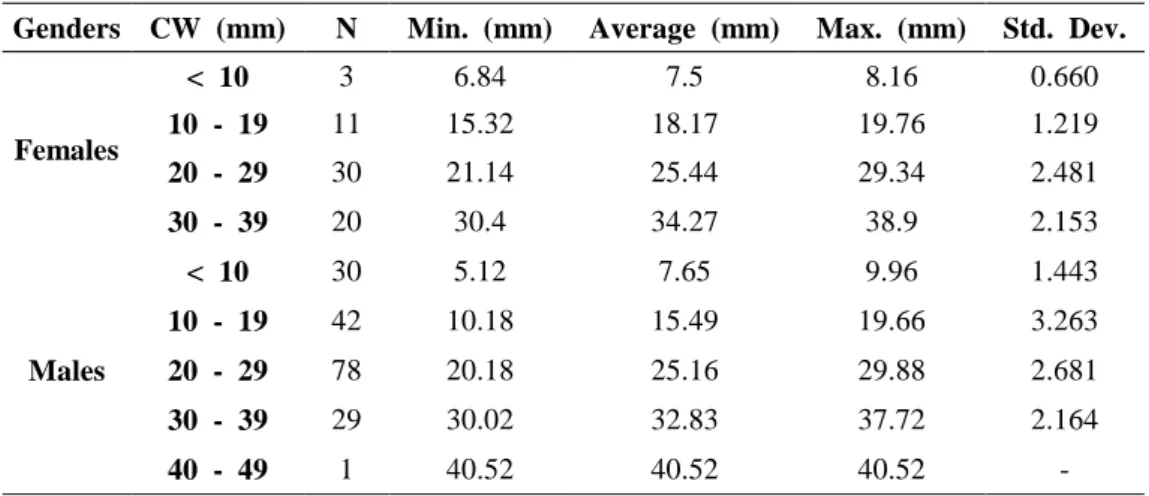 Table  1: Distribution  of  individual  numbers  according  to  carapace  width  classes  on   the  basis  of  genders  (CW:  carapace  width,  N:  number  of  individuals,  Std
