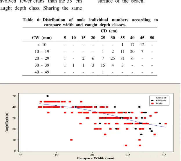 Table    6:  Distribution    of    male    individual    numbers    according    to   carapace  width  and  caught  depth  classes