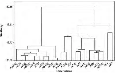 Figure  3.  Dendograms  obtained  by  the  Euclidean  distance  and  the  Ward  Linkage  method